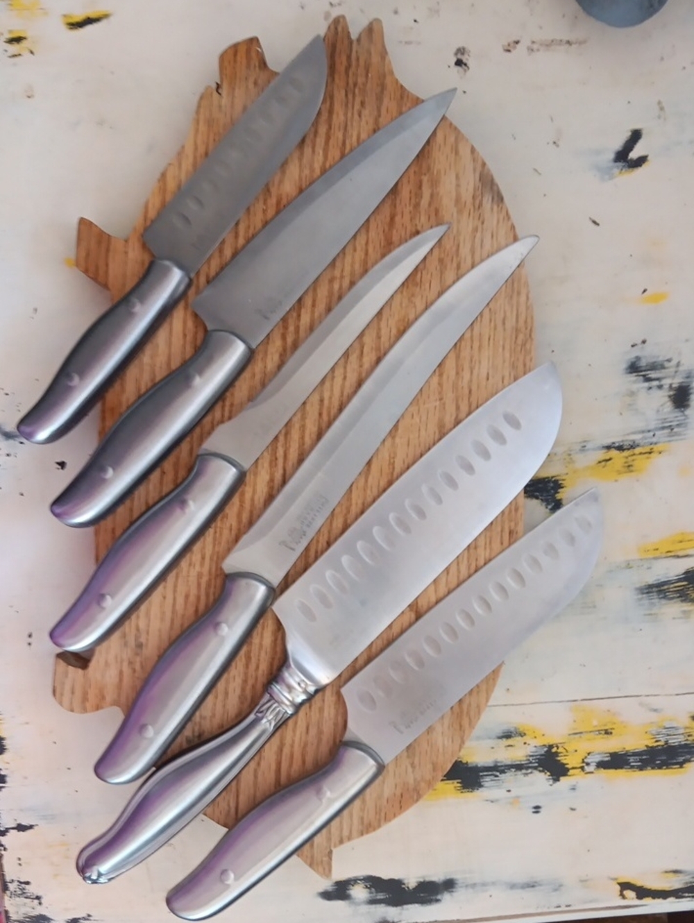 Philippe Richard 6-Piece Stainless Steel Knife Set with Satin Silver Handles
